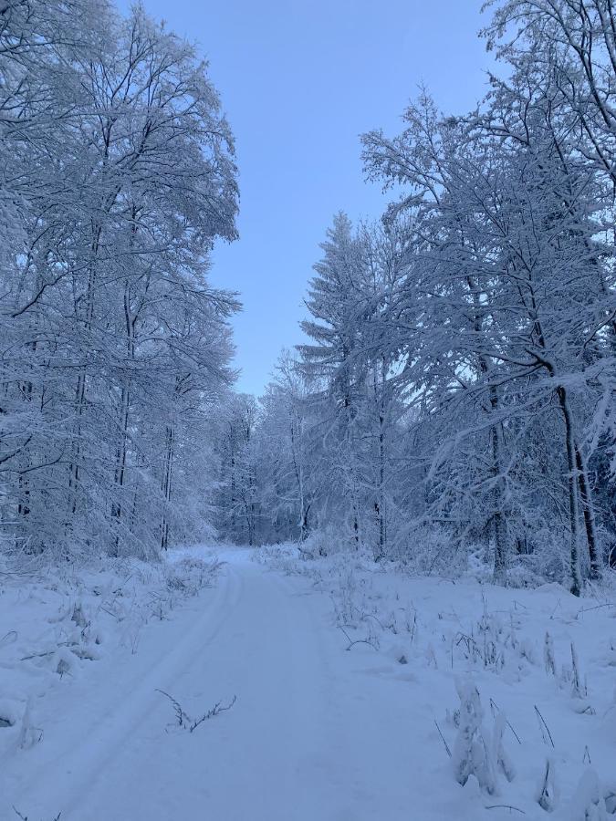Inmitten Der Mit Sauna * Steinau an der Straße
